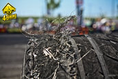 Vitantis All Star Drift 2010 - Galerie Oficiala