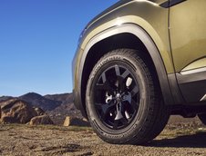 Volkswagen Atlas Peak Edition