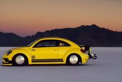 Volkswagen Beetle LSR