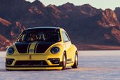 Volkswagen Beetle LSR