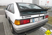 Volkswagen Fest 2007