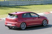 Volkswagen Golf GTI TCR necamuflat