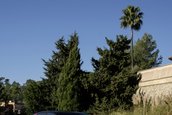 Volkswagen ID.3 GTX - Galerie foto