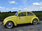 Volkswagen Kafer broasca