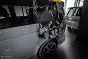 Volkswagen T6 by Carlex Design