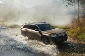 Volkswagen Teramont Pro