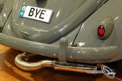 VolksWorld Show 2008, Carnavalul Buburuzelor