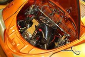 VolksWorld Show 2008, Carnavalul Buburuzelor