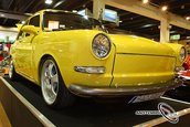 VolksWorld Show 2008, Carnavalul Buburuzelor