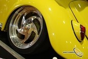 VolksWorld Show 2008, Carnavalul Buburuzelor