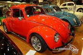 VolksWorld Show 2008, Carnavalul Buburuzelor