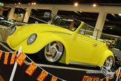 VolksWorld Show 2008, Carnavalul Buburuzelor