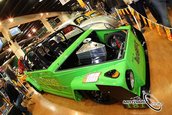 VolksWorld Show 2008, Carnavalul Buburuzelor