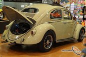 VolksWorld Show 2008, Carnavalul Buburuzelor