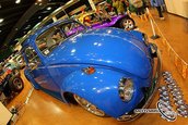VolksWorld Show 2008, Carnavalul Buburuzelor