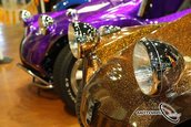 VolksWorld Show 2008, Carnavalul Buburuzelor