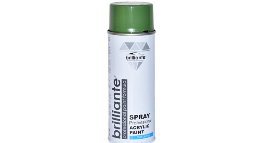 Vopsea Spray Verde Reseda (ral 6011) 400 Ml Brilliante 08713