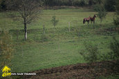 VTM Resita 2009