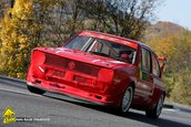 VTM Teliu 2009