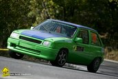 VTM Teliu 2009