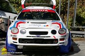 VTM Teliu 2009