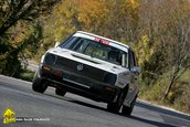 VTM Teliu 2009