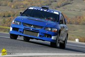 VTM Teliu 2009