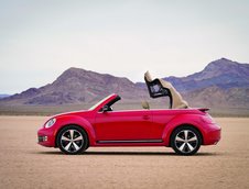 VW Beetle Cabriolet