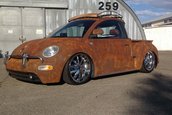 VW Beetle Pick-Up