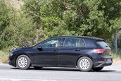 VW Golf 8 - Ultimele poze spion