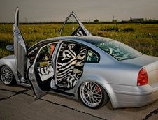 VW Passat by Bogdan Turc