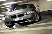 Wallpapers: BMW Z4 M Roadster