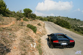 Wallpapers: Lamborghini Murcielago LP640