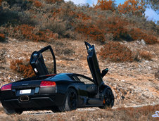 Wallpapers: Lamborghini Murcielago LP640