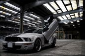 Wallpapers: Shelby GT500