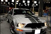 Wallpapers: Shelby GT500