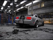 Wallpapers: Shelby GT500