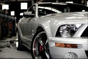 Wallpapers: Shelby GT500