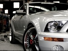 Wallpapers: Shelby GT500