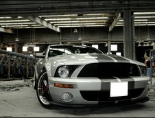 Wallpapers: Shelby GT500