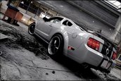 Wallpapers: Shelby GT500