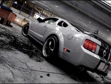 Wallpapers: Shelby GT500