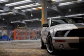 Wallpapers: Shelby GT500