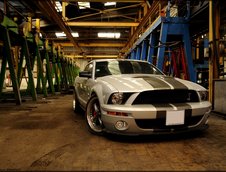 Wallpapers: Shelby GT500