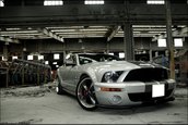 Wallpapers: Shelby GT500