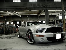 Wallpapers: Shelby GT500