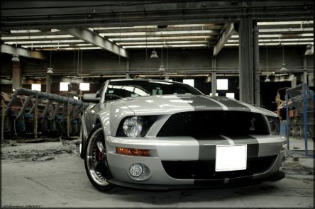 Wallpapers: Shelby GT500 Wallpapers: Shelby GT500