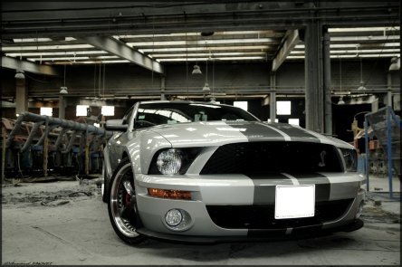 Wallpapers: Shelby GT500