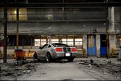 Wallpapers: Shelby GT500