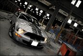 Wallpapers: Shelby GT500